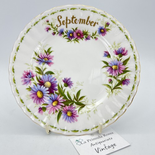 Piattino piatto dolce - piatto,