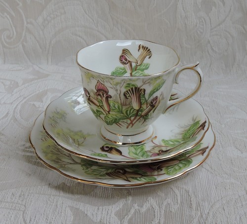 Royal albert - royal,