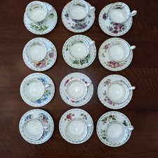 FLOWER OF THE MONTH ROYAL