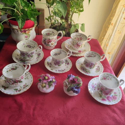 Royal albert flower the - royal,